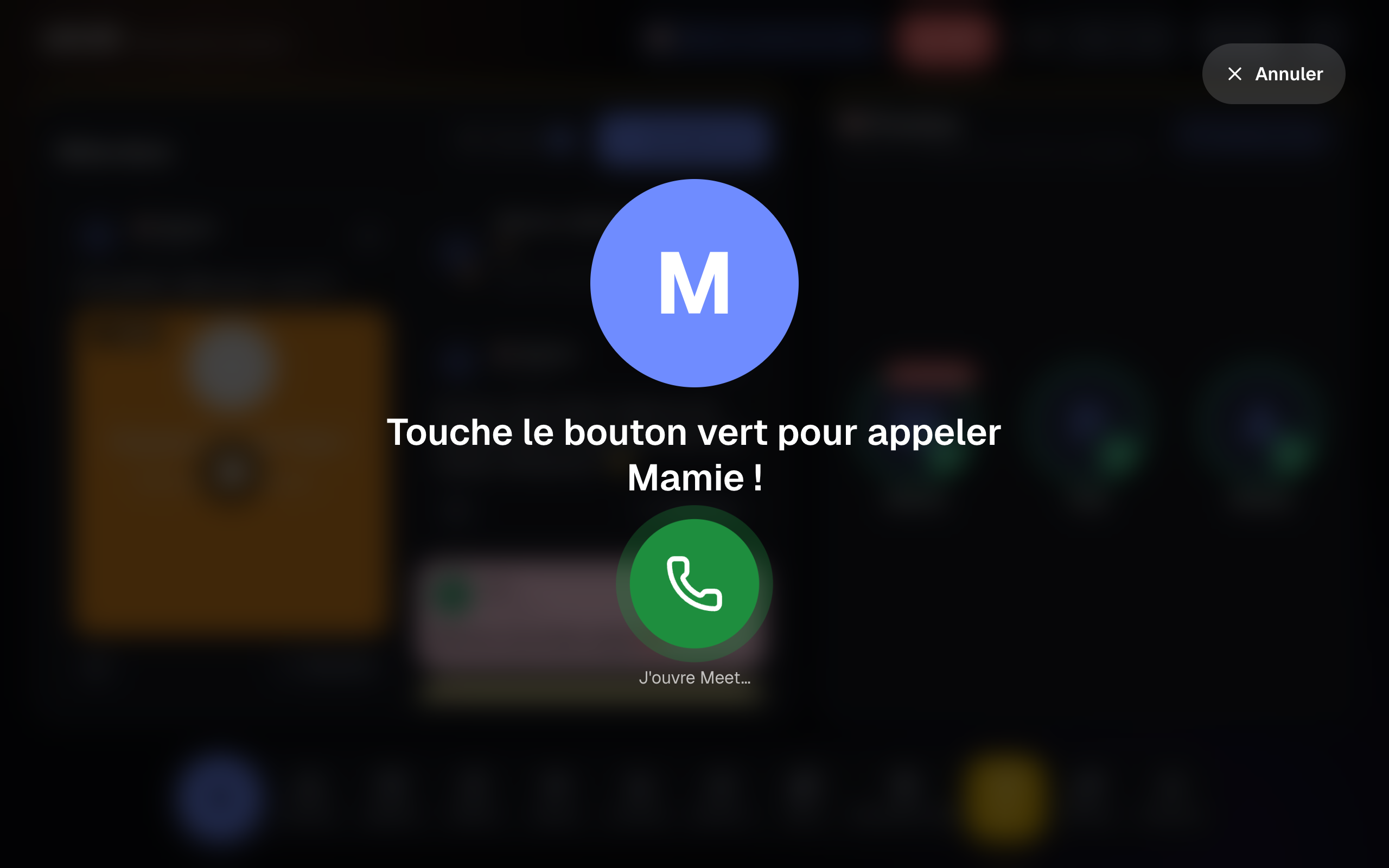 La vue Appeler sur le frigo : le visage de Mamie, ses horaires d'appel, « touche le bouton vert »